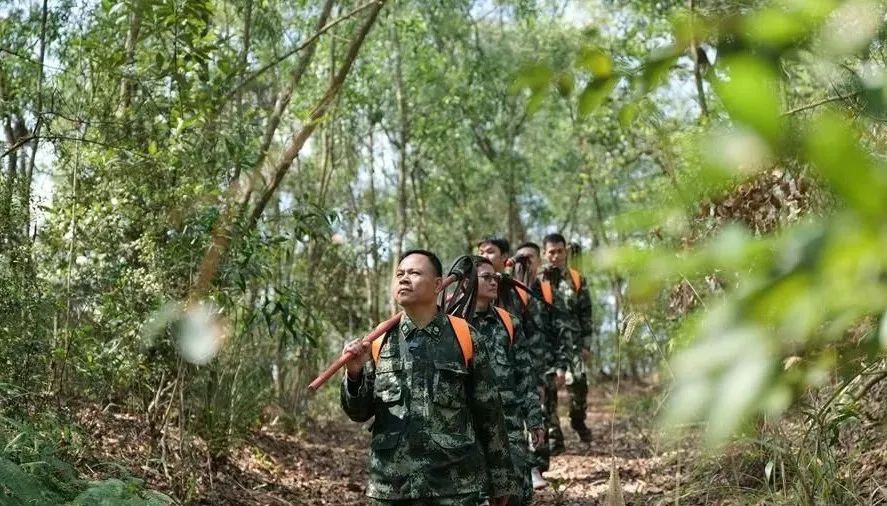 東莞1059名林長(cháng)到崗 林長(cháng)是多大的“官兒”
