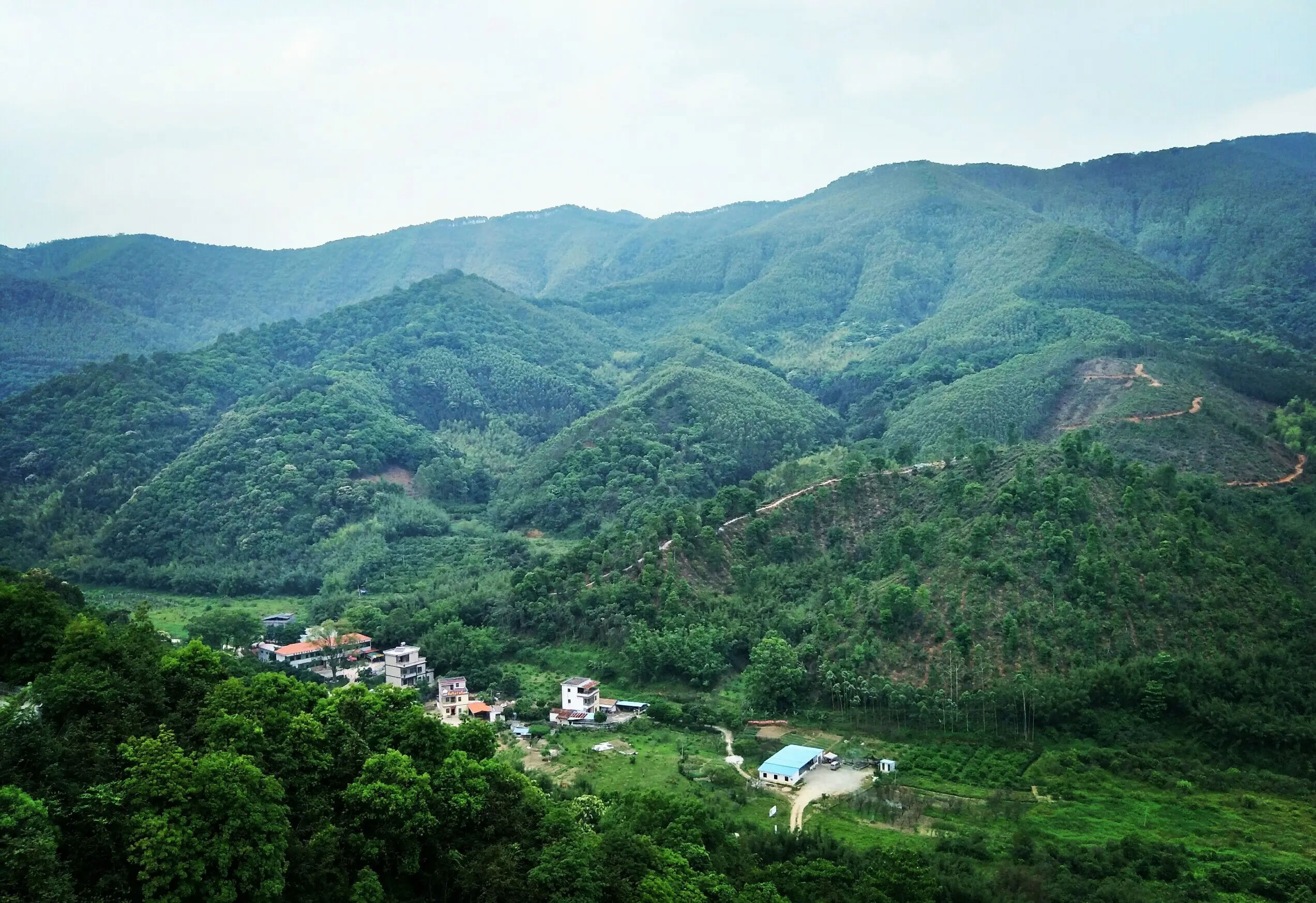 廣東象頭山保護區第二次綜合科學(xué)考察工作啟動(dòng)