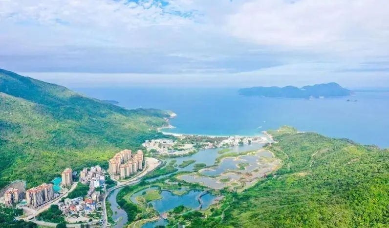 即將對外開(kāi)放！深圳大鵬新建一紅樹(shù)林濕地公園
